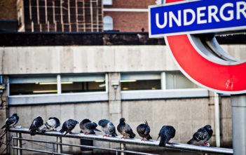 London