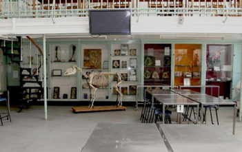 Dissection Room at Summerhall