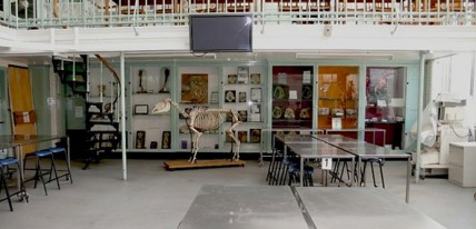 Dissection Room at Summerhall