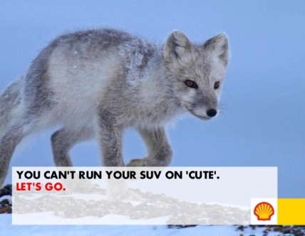 Shell: Let's Go Arctic! 2