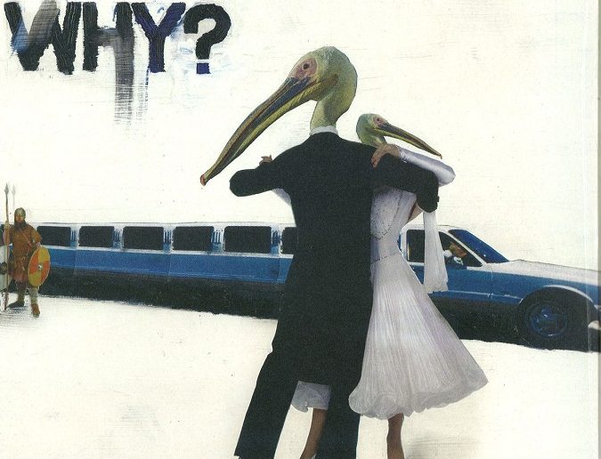 WHY? - Sod in the Seed