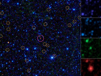 A portion of the sky as seen by WISE. The yellow circles are active supermassive black holes