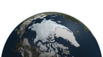 Arctic sea ice reached record lows in 2011