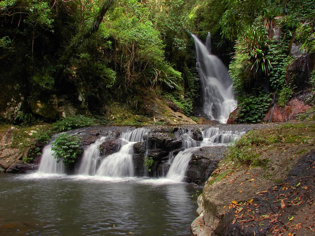 Elabana Falls, Lamington National Park, Australia
