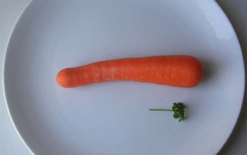 Carrot