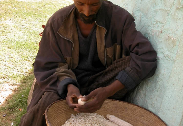 Most small farmers produce barely enough for their own consumption