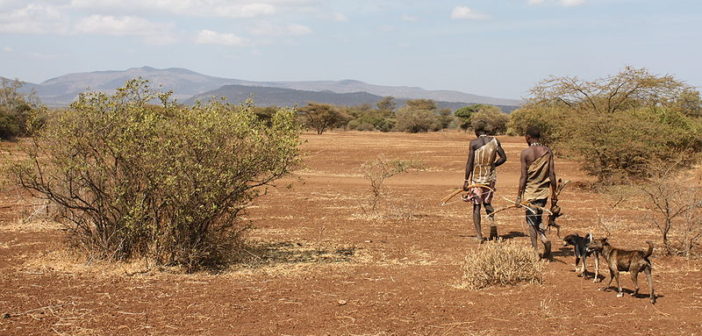 Hadza hunters