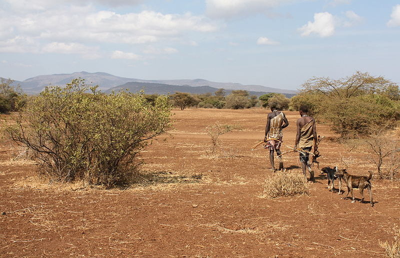 Hadza hunters