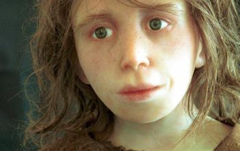 Computer reconstruction of a Neanderthal child