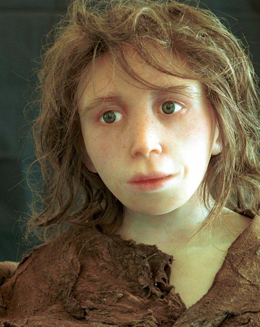 Computer reconstruction of a Neanderthal child