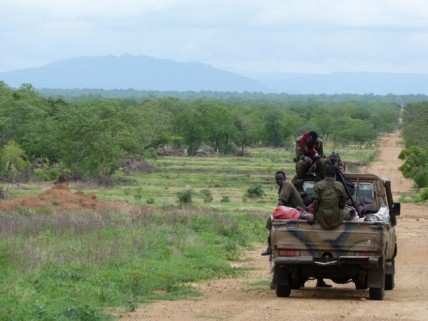 Sudan's Blue Nile Rebels