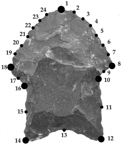 An arrowhead from the Late Holocene period labelled with the 24 "landmarks"
