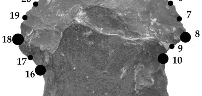 An arrowhead from the Late Holocene period labelled with the 24 "landmarks"