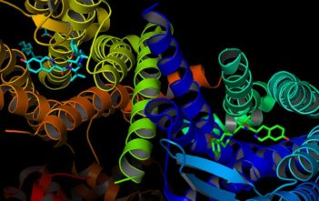 K-opioid receptors, part of the G-protein-coupled receptor family