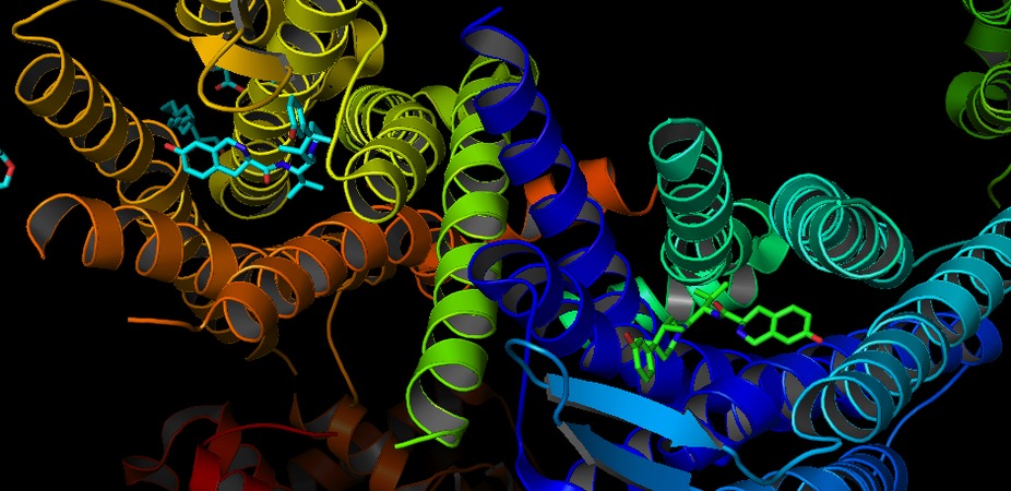 K-opioid receptors, part of the G-protein-coupled receptor family