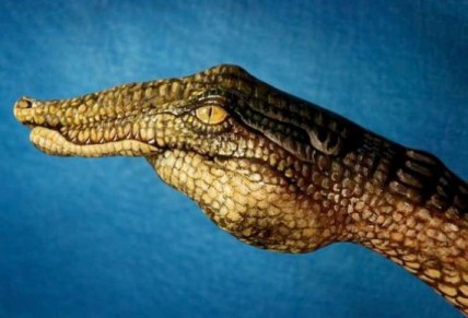 Crocodile Handimal