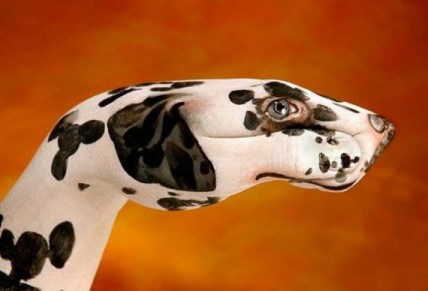 Dalmation Handimal