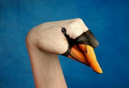 Swan Handimal