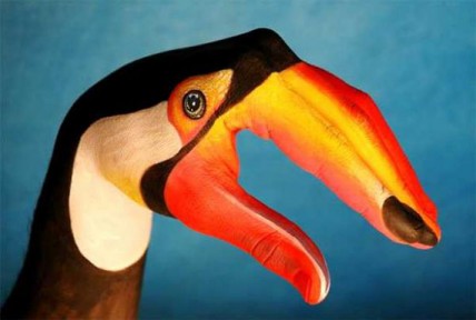 Toucan Handimal