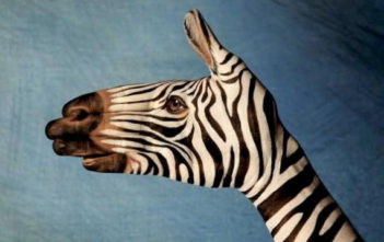 Zebra Handimal