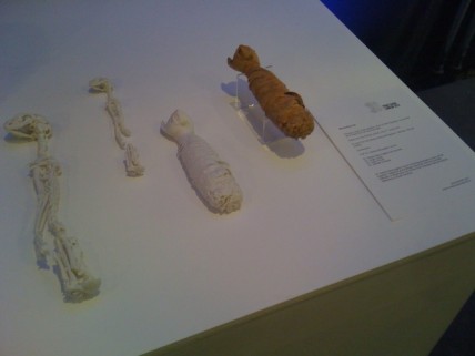 3D prints of mummified animals at the 3D Printshow 2012
