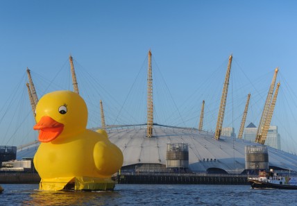 A giant rubber duck floats down the Thames