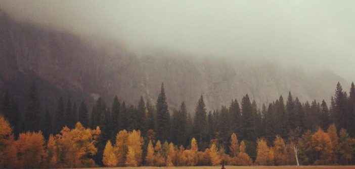 Faded Gold