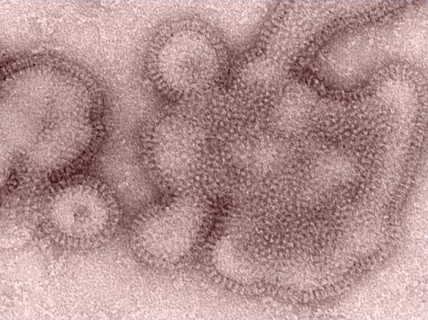 H3N2 virus