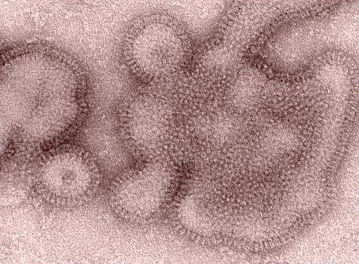 H3N2 virus