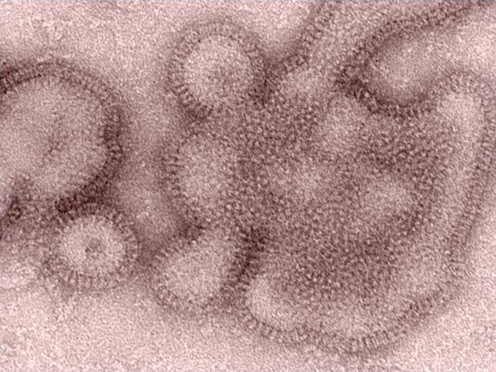 H3N2 virus