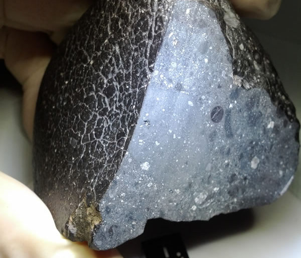 Mars meteorite "Black Beauty"