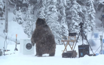 Samsung EcoBubble bear advert