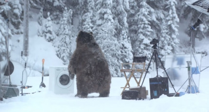 Samsung EcoBubble bear advert