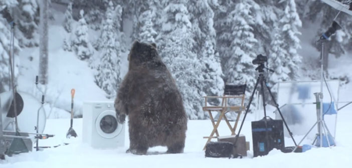 Samsung EcoBubble bear advert