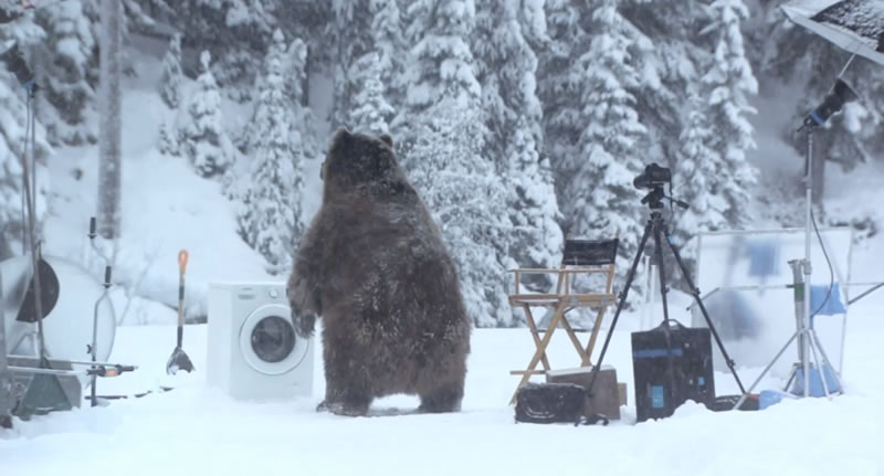 Samsung EcoBubble bear advert