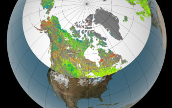 Plant growth change in the northern hemisphere