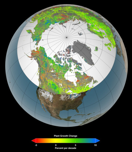 Plant growth change in the northern hemisphere