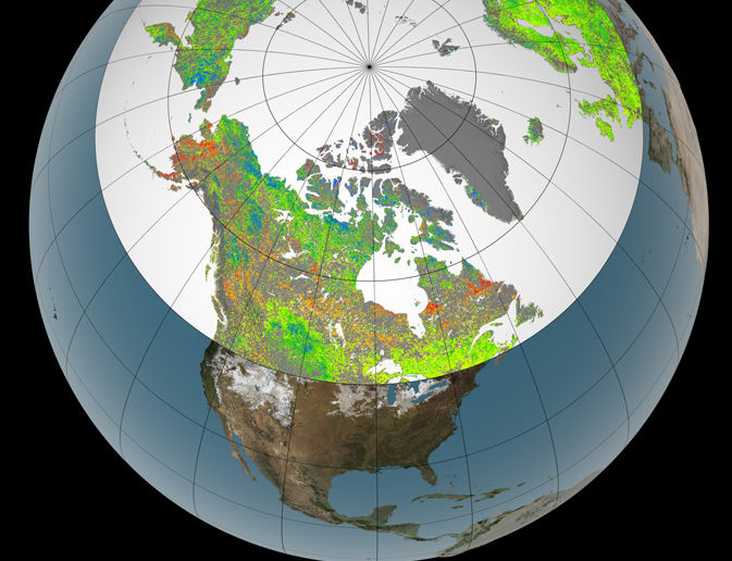 Plant growth change in the northern hemisphere