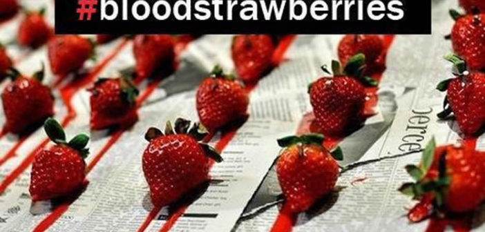 Boycott Manoladas' #bloodstrawberries