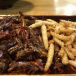 Deep fried grasshoppers and bamboo worms