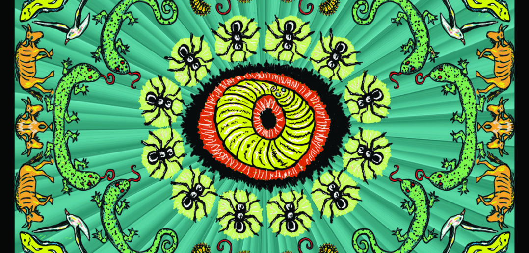 The Handsome Family - The Wilderness