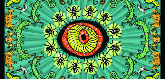 The Handsome Family - The Wilderness