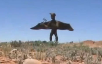 "Anatomically correct" gargoyle