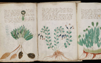 Voynich manuscript