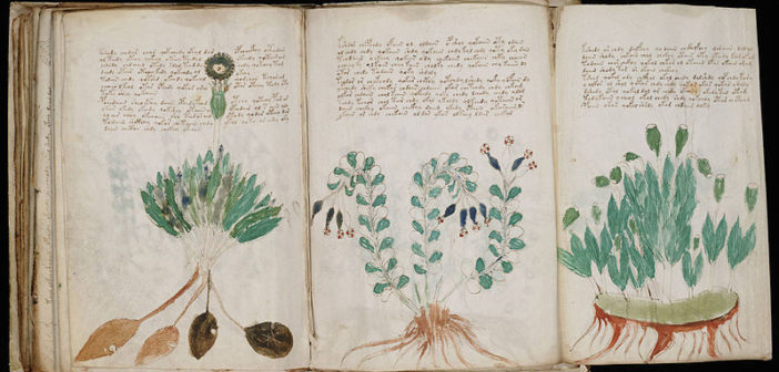 Voynich manuscript