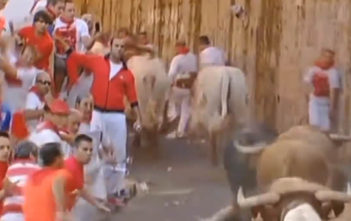 Running of the bulls in Pamplona 2013