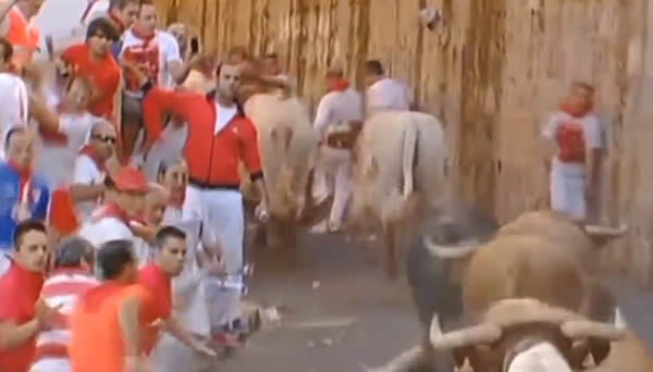 Running of the bulls in Pamplona 2013
