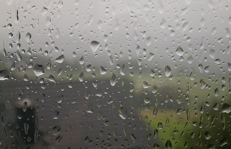 Rain