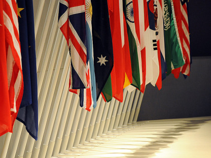 G20 flags