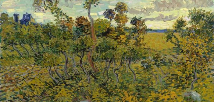Vincent Van Gogh's Sunset at Montmajour